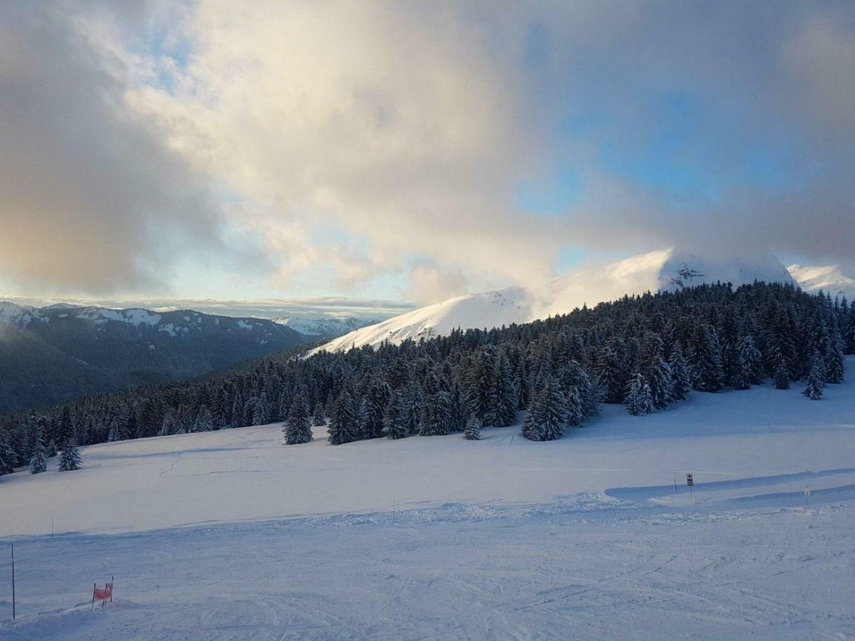 Ferienwohnung Praz-du-Soleil F3 Les Gets Exterior foto